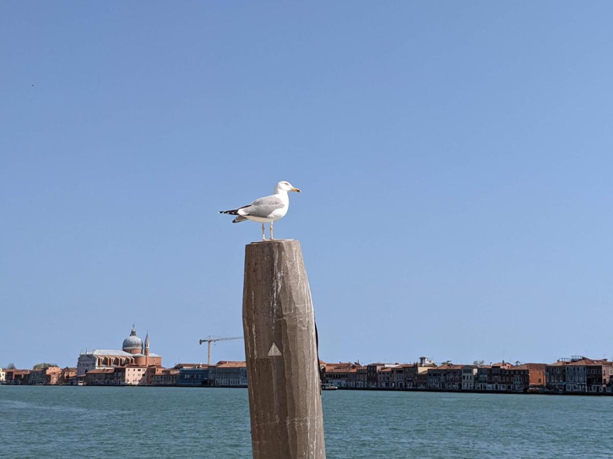 Red Tower Venice Apartment - 2 Mins From Vce Airport- Free Wifi Tessera Luaran gambar